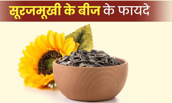 Benefits Sunflower Seeds In Hindi